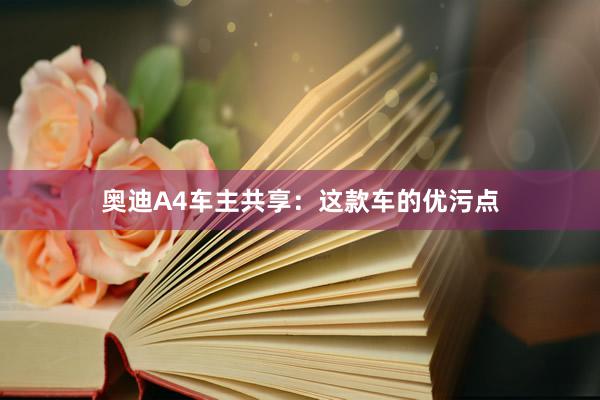 奥迪A4车主共享：这款车的优污点