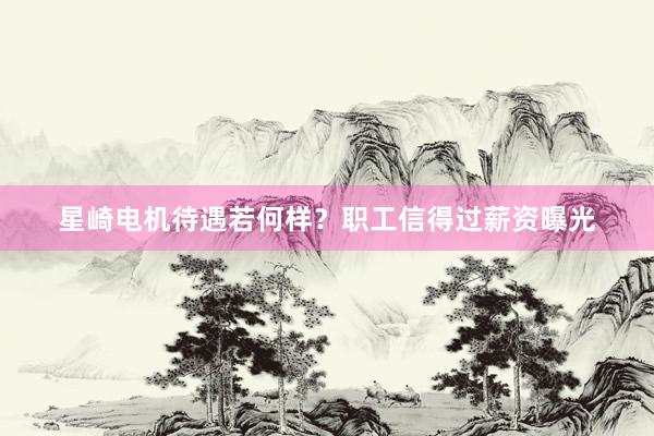 星崎电机待遇若何样？职工信得过薪资曝光